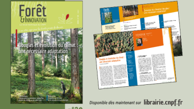 Forêt & Innovation n°20