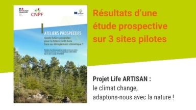 Quels futurs possibles pour la filière forêt-bois face au dérèglement climatique ?