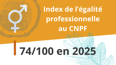 Index de l'égalité professionnelle au CNPF : 74/100 en 2025