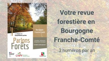 Parlons Forêts en Bourgogne-Franche-Comté n°11