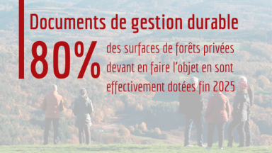 80 % des surfaces devant faire l’objet d’un document de gestion durable en sont effectivement dotées fin 2025