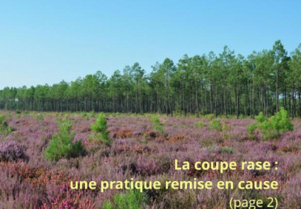 Bois et Forêts de Nouvelle-Aquitaine n°4
