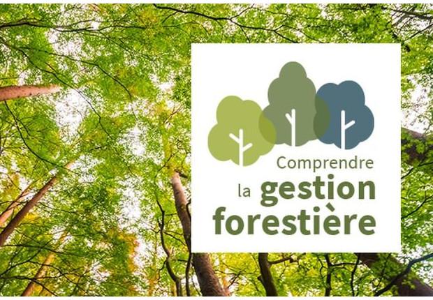 MOOC comprendre la gestion forestière