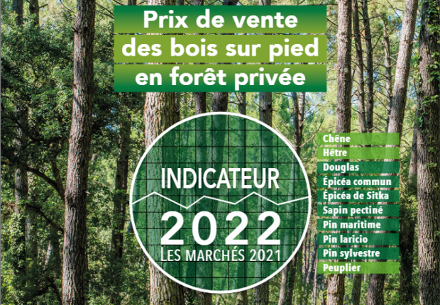Indicateur 2022 des prix de vente des bois sur pied en forêt privée