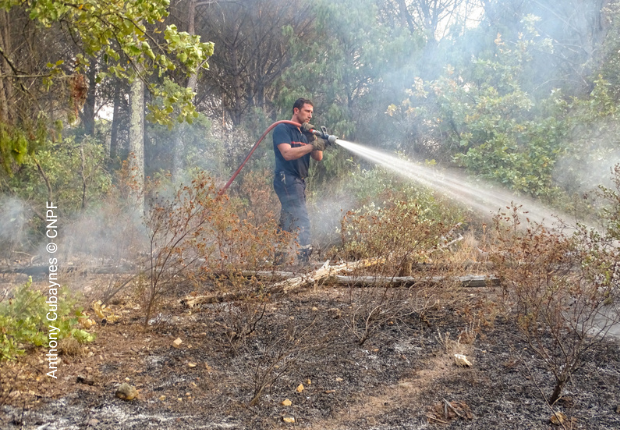 Actualité incendie