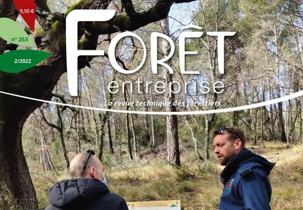 Forêt-entreprise n°263