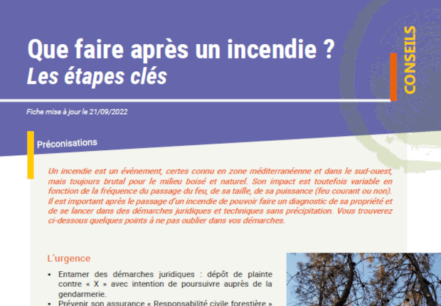 Que faire après un incendie ? Fiche conseil CNPF