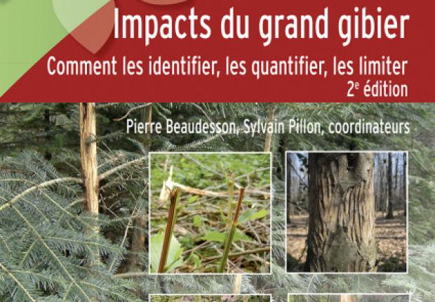 Impacts du grand gibier