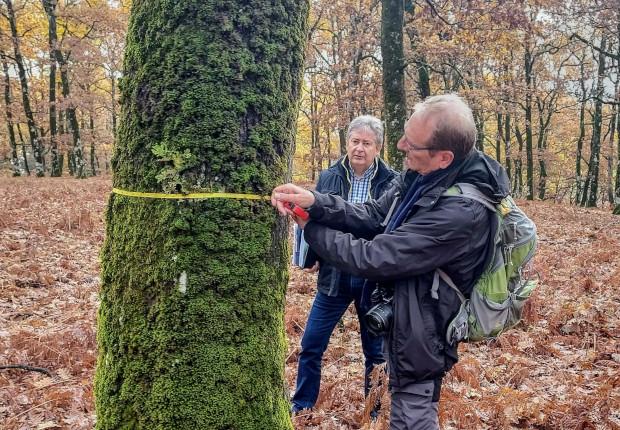 Mesures pour l'adaptation de l'IBP avec Pierre Gonin, CNPF-IDF, et un forestier grec.