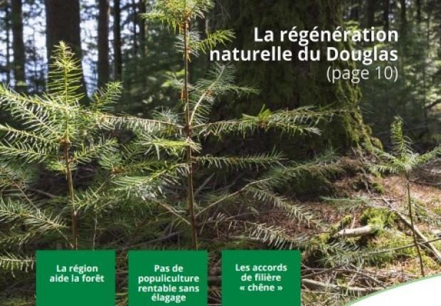 Bois et Forêts de Nouvelle-Aquitaine n°5