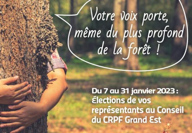 Forêts privées du Grand Est n°16