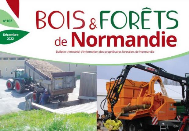 Bois du Nord et Bois n°71 et Forêts de Normandie n°162