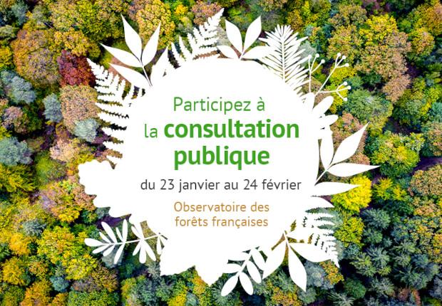 Consultation publique sur les forêts françaises