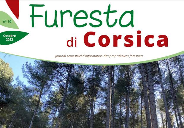 Furesta di corsica n°10