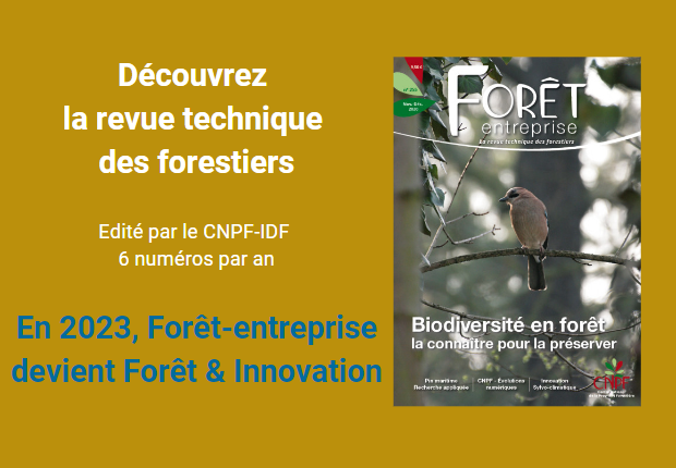 Découvrez Forêt-entreprise