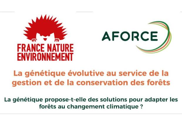 La génétique propose-t-elle des solutions pour adapter les forêts au changement climatique ?