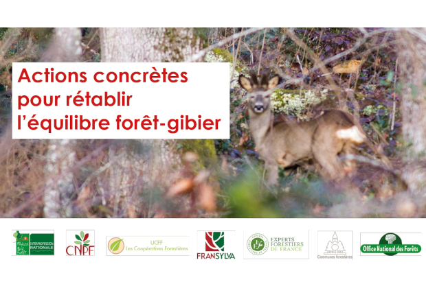 Webinaire 20 mars 2023 - Comment atteindre l'équilibre forêt-gibier ?