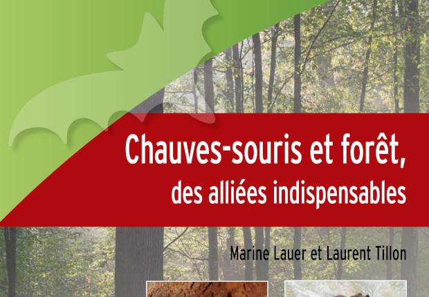 Chauves-souris et forêt, des alliées indispensables