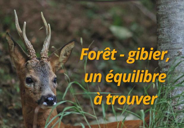 Parlons Forêt n°24 de mars 2023