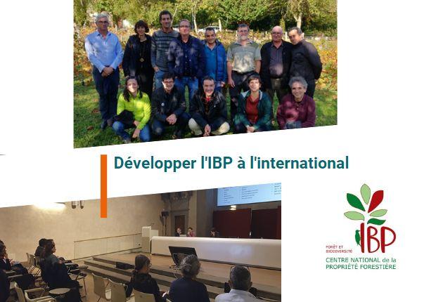 Comité international d’experts de l'IBP