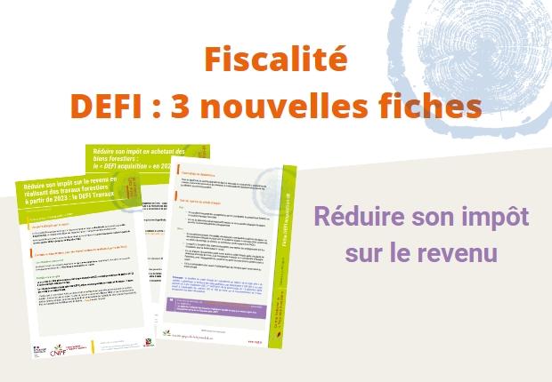 Fiches DEFI 2023