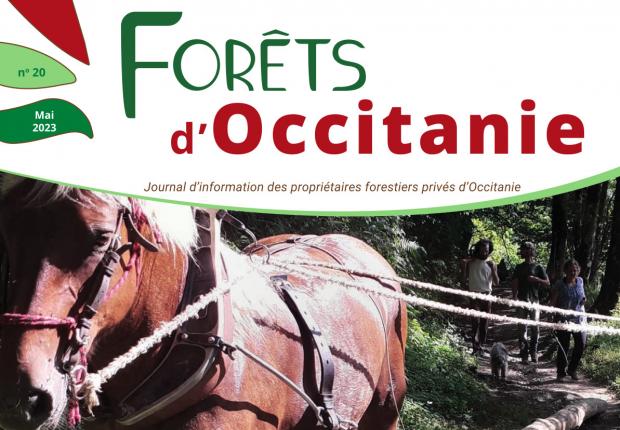 Forêts d'Occitanie n°20