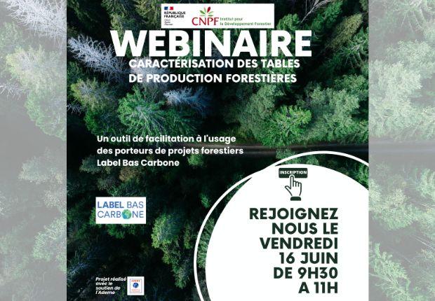 Webinaire - Caractérisation des tables de production forestières