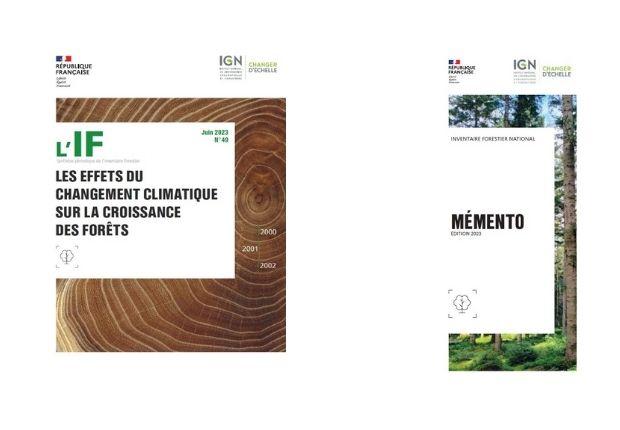 Mémento 2023 et L'IF n°49 de l'inventaire forestier l'IGN