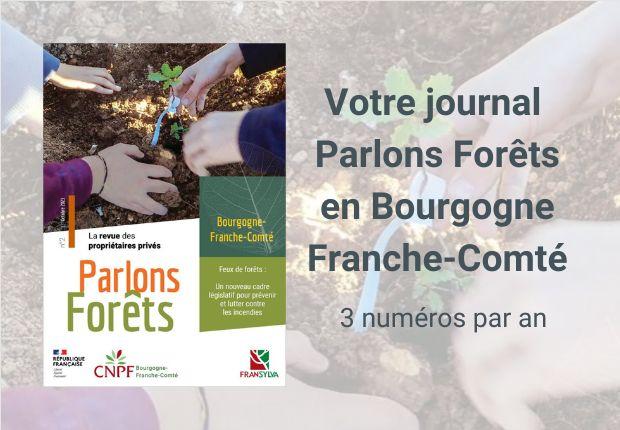 Parlons forêts en Bourgogne-Franche-Comté n°2