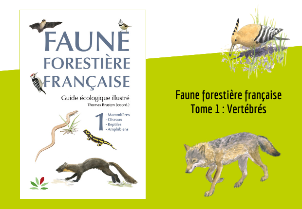 Faune forestière française - Tome 1