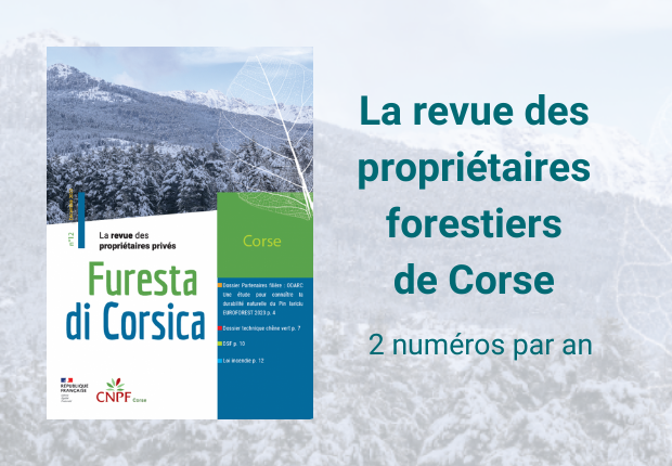 Furesta di Corsica n°12