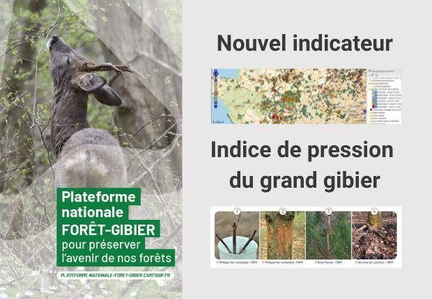 Plateforme nationale forêt-gibier : nouvel indicateur de pression des ongulés