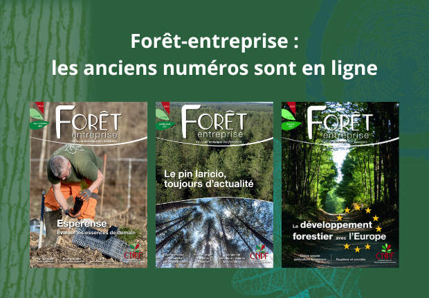  Forêt-entreprise :  les anciens numéros sont en ligne