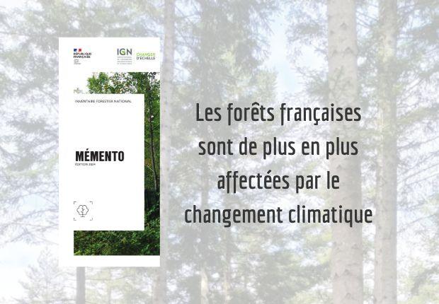 Mémento 2024 de l'inventaire forestier l'IGN