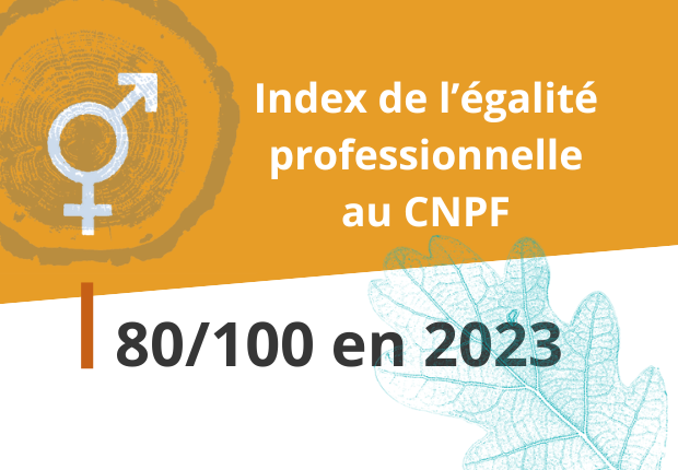 Index de l'égalité professionnelle au CNPF : 80/100 en 2023