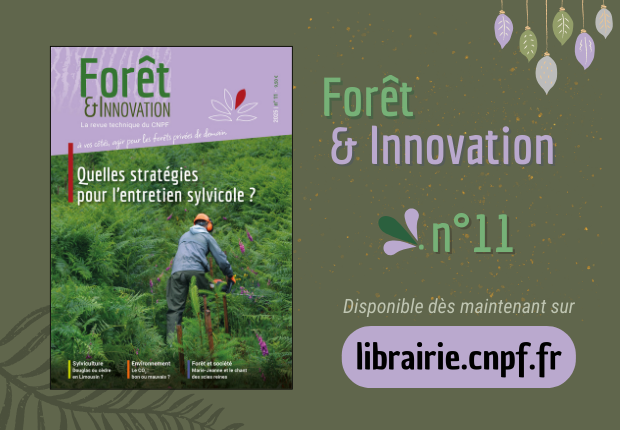 Forêt & Innovation n°11
