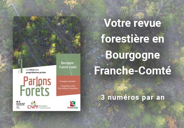 Parlons forêts en Bourgogne-Franche-Comté n°6