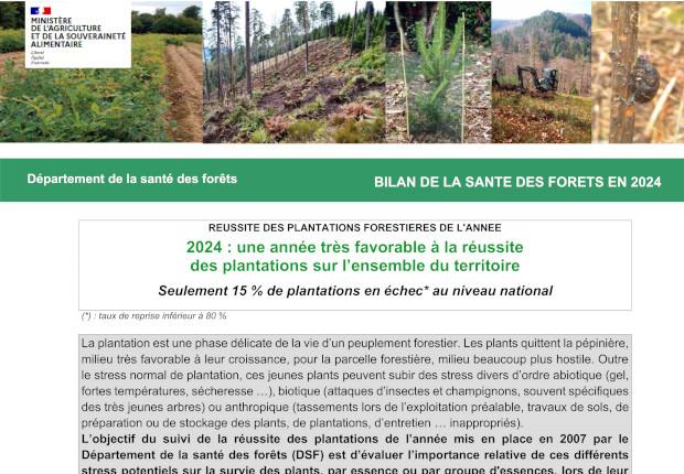 Bilan des plantations 2024 du DSF