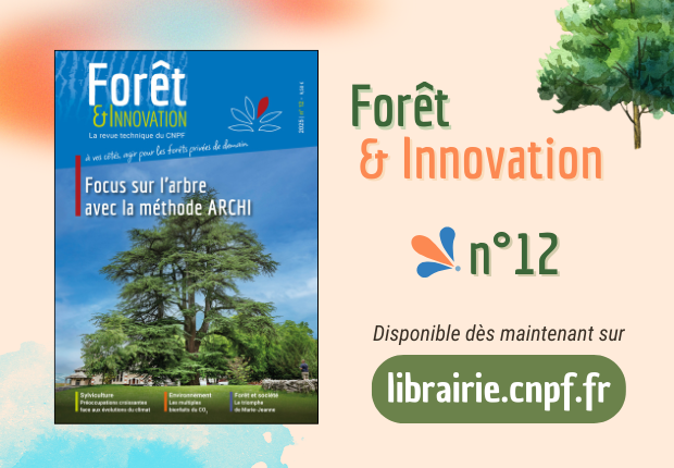 Forêt & Innovation n°12