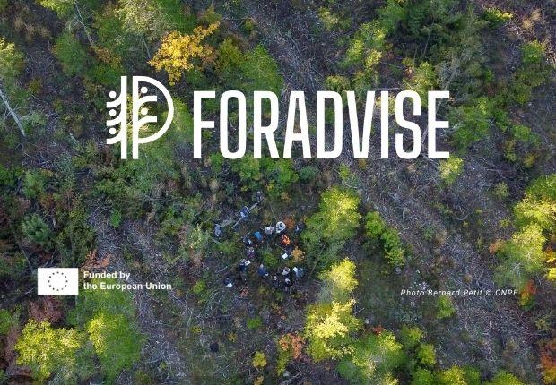 Logo FORADVISE