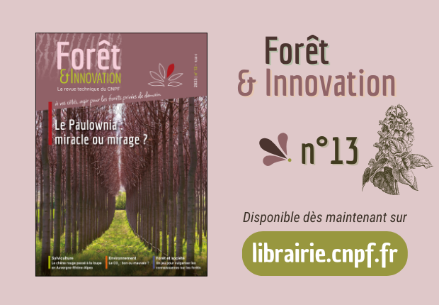 Forêt & Innovation n°13
