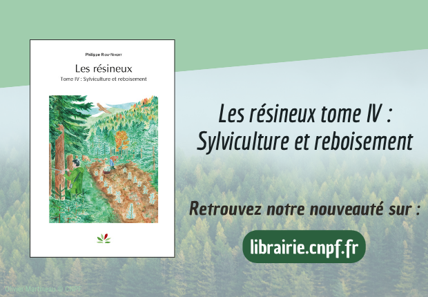 Parution - Les résineux Tome 4