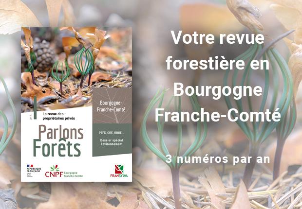 Parlons forêts en Bourgogne-Franche-Comté n°7