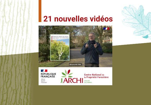 La méthode ARCHI et les Dendro-Marqueurs Architecturaux