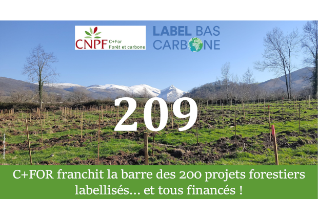 Label Bas Carbone : plus de 200 projets pour le CNPF - C+FOR !