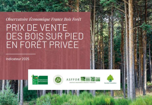 Indicateur 2025 des prix de vente des bois sur pied en forêt privée