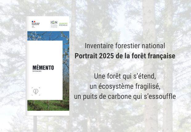 Mémento 2025 de l'inventaire forestier l'IGN