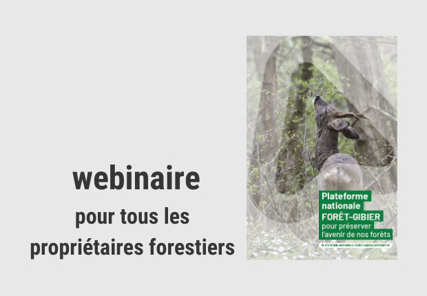 webinaire plateforme forêt-gibier