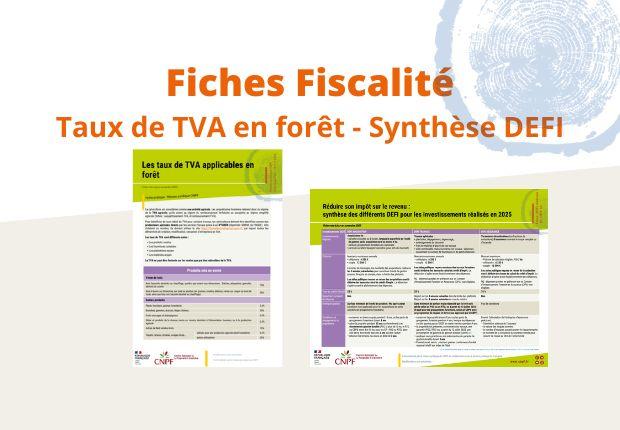 Fiscalité forestière : mise à jour de 2 fiches TVA et DEFI