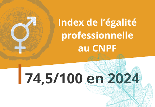 Index de l'égalité professionnelle au CNPF : 74,5/100 en 2024